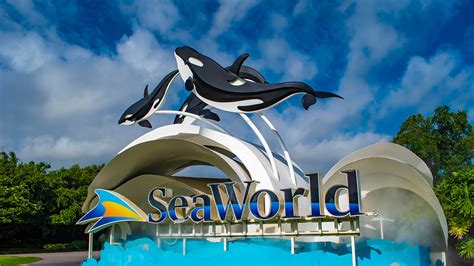 Cancelar pases anuales sea world - 7007 SeaWorld Drive. Orlando, FL 32821. Phone Numbers: For tickets or education programs, please call: 407-545-5550. For Vacation Packages that include a hotel booking (in the US only), please call: 407-401-8477 or email us at SEAVacations@seaworld.com. For Group Tickets, please call: 407-965-3251 or visit SeaWorldGroupEvents.com.